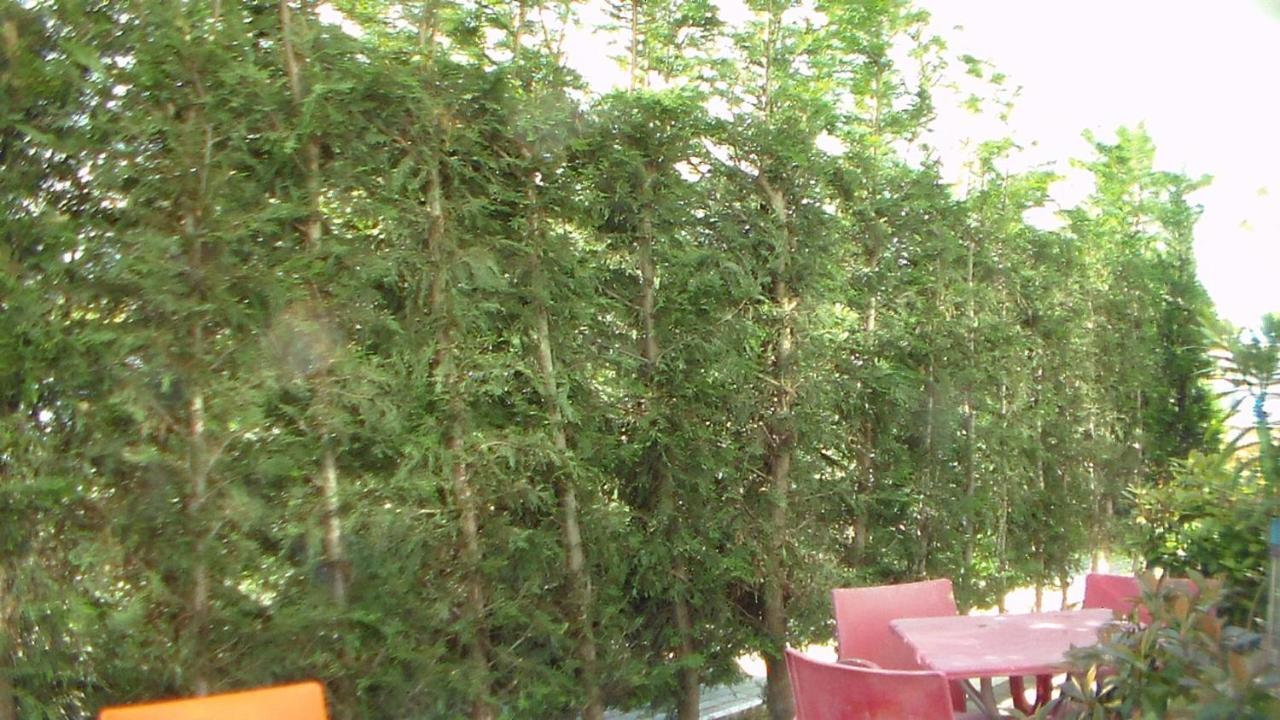 Shkoder Hotel Temali Extérieur photo